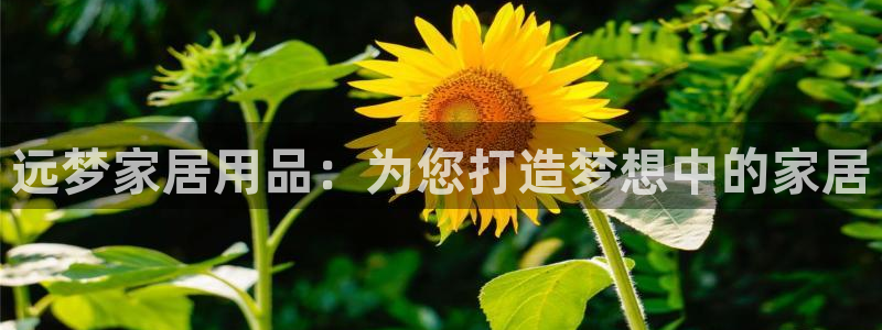 ug环球好假