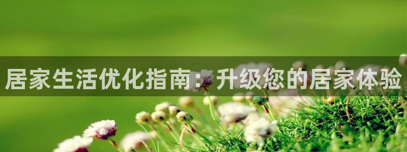 ug环球国际买分