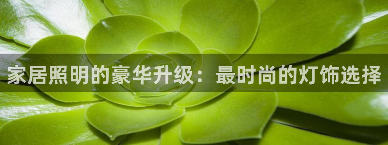 ug环球正网包杀