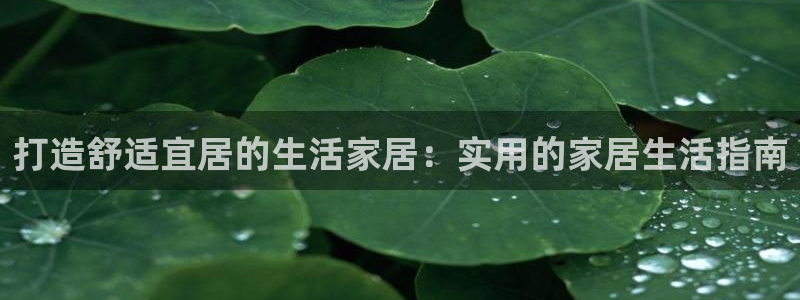 ug环球包杀网一比一