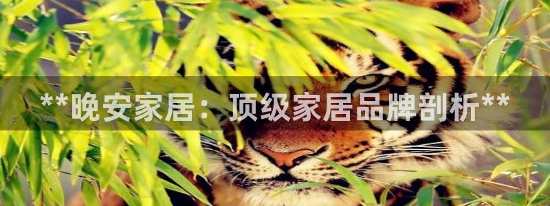 ug环球360