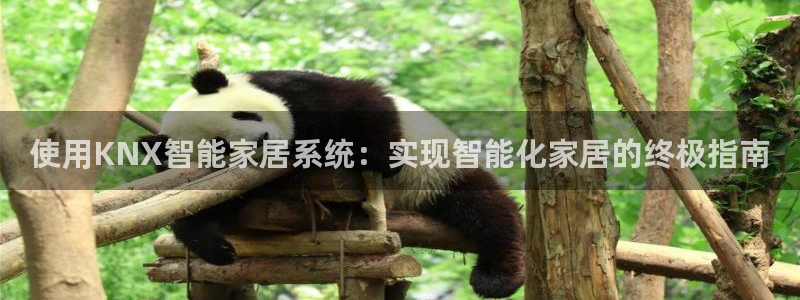 ug环球会员手机版下载官网