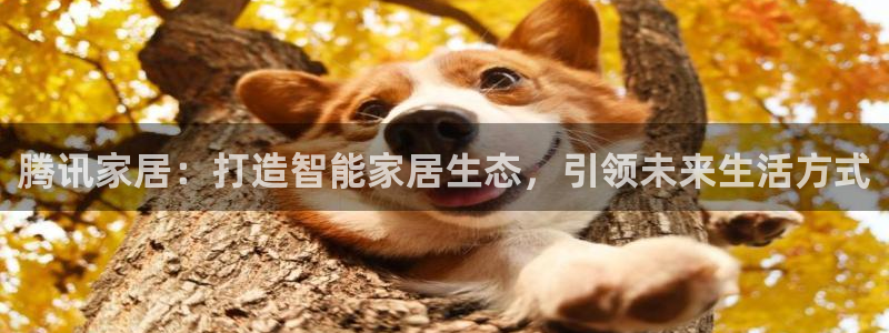UG环球会员官方