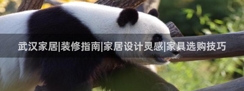 环球ug官网代理