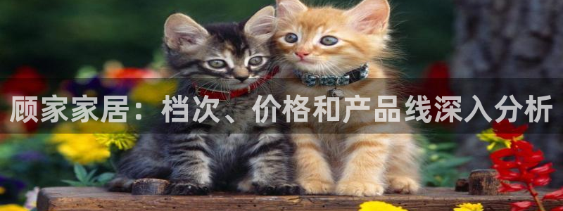 ug环球视讯官网