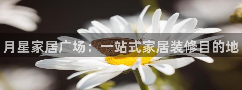 环球ug官网会员注册