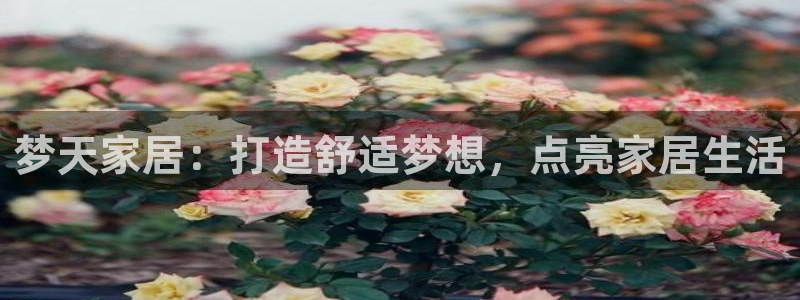 ug环球官网24小时