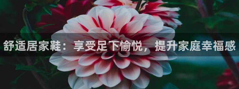 ug环球视讯手机版官网