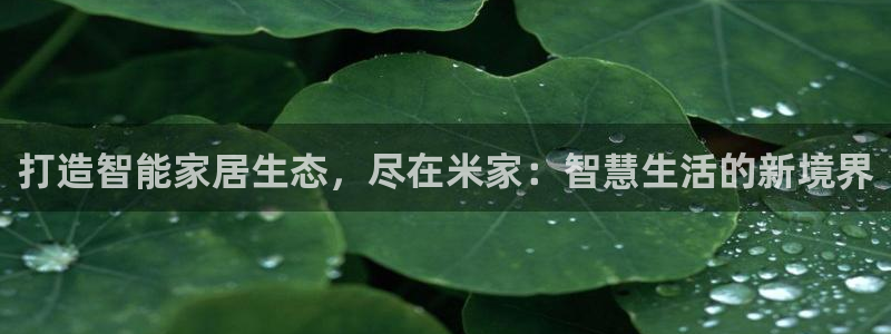 ug环球代理平台