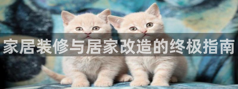 ug环球会员手机版下载官网