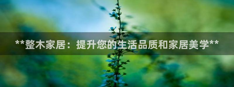 ug环球官网合作