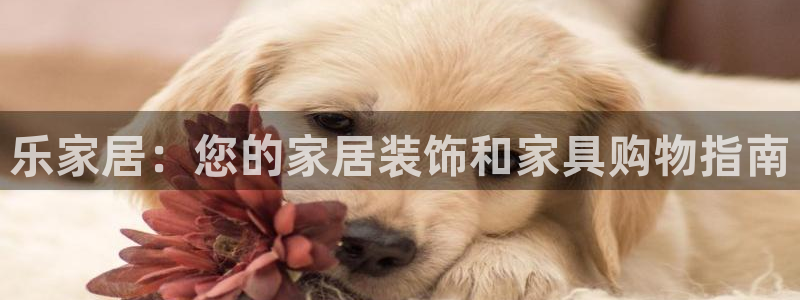 ug环球正网买分