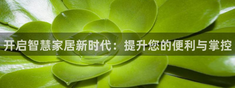 ug环球好假