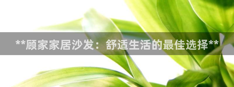 ug环球正网包杀
