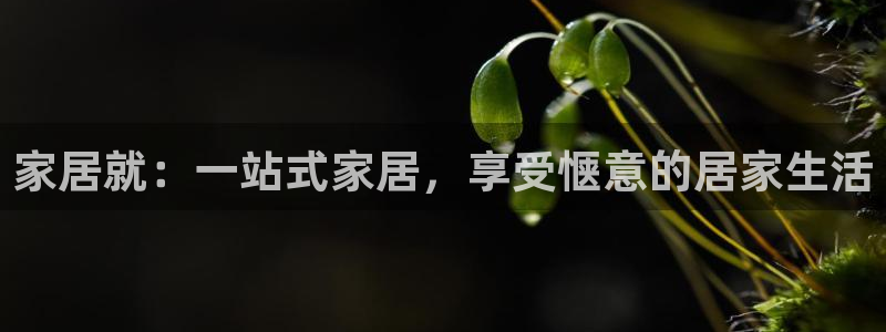 ug环球代理平台官网