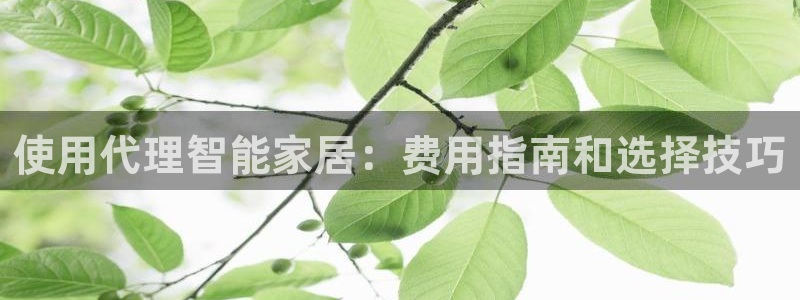 ug环球正网买分
