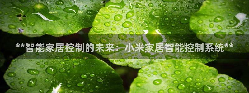 ug环球视讯真假