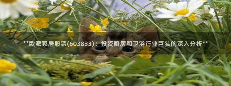 ug环球开户
