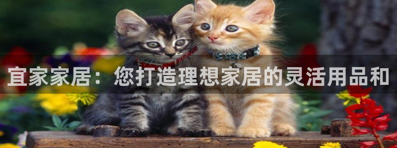 UG环球官方网