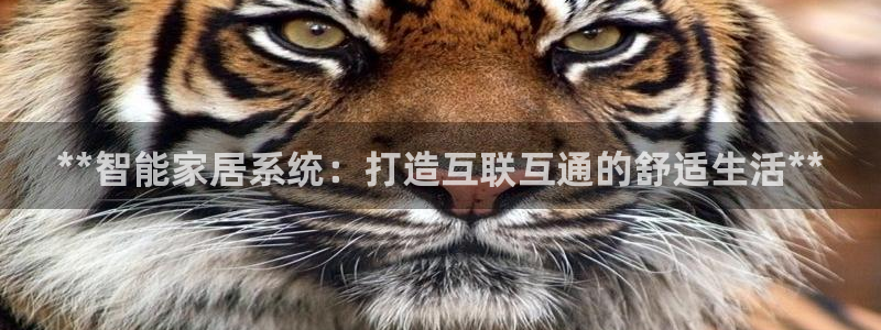 ug环球包杀网一比一