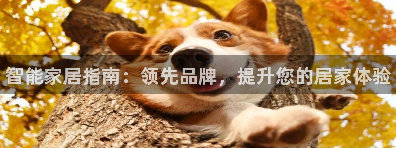 ug环球买分卖分