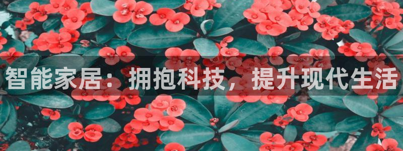 Ug环球私网一比一