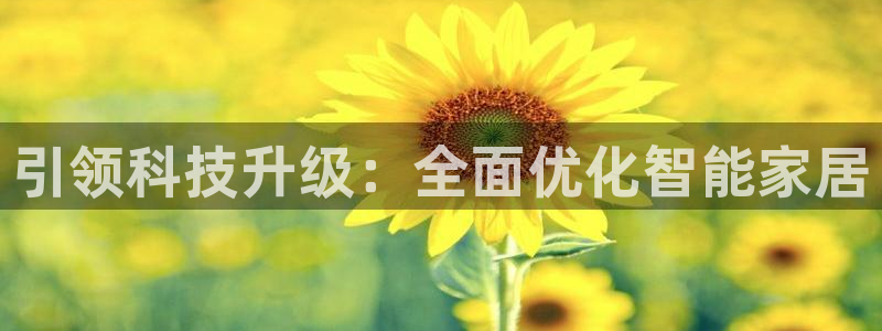 ug环球代理合作