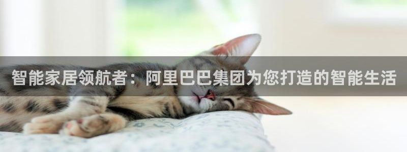 UG环球假网一比一包杀网