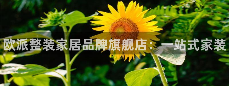 ug环球找唯xkk 908