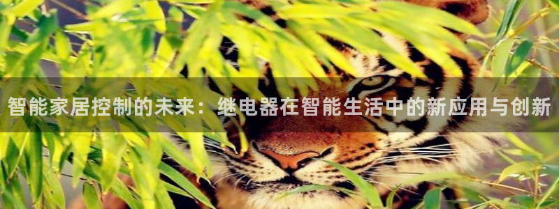 ug环球代理平台官网