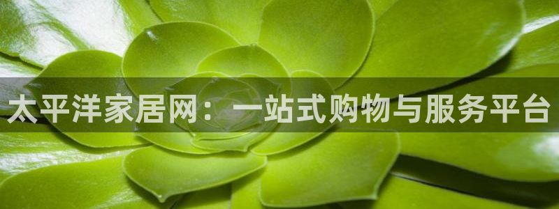 ug环球买分卖分