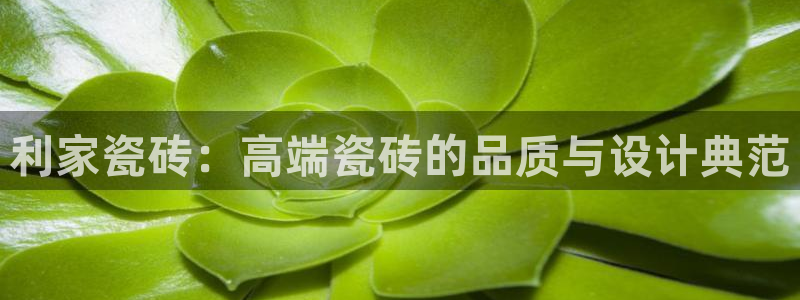 ug环球游戏网站