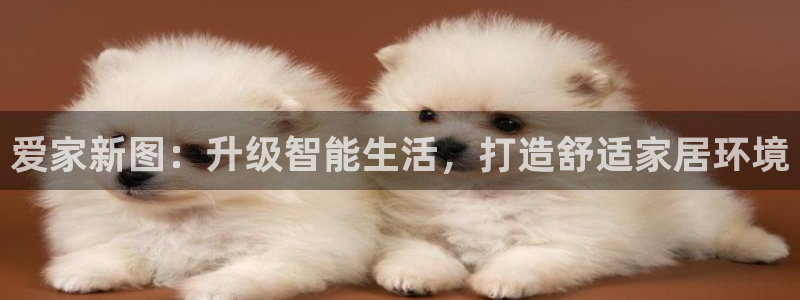 ug环球包杀网一比一