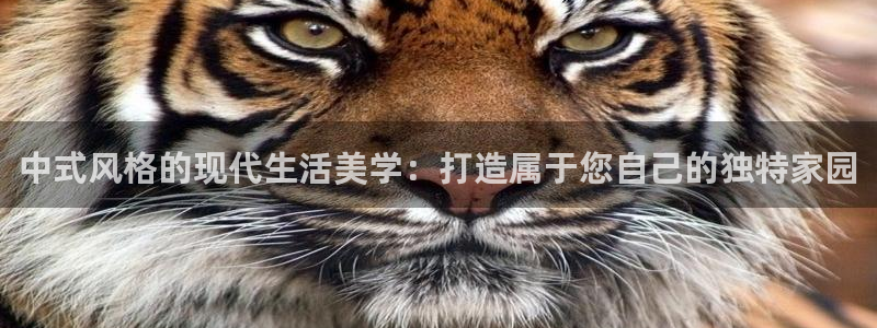 ug环球找唯xkk 908