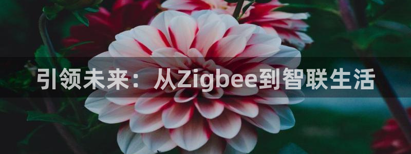 ug环球信用盘