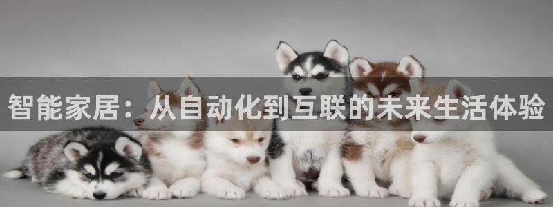 ug环球会员开户