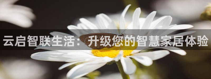 ug环球官网会员